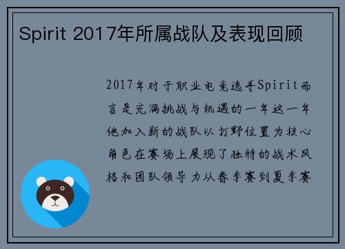 Spirit 2017年所属战队及表现回顾